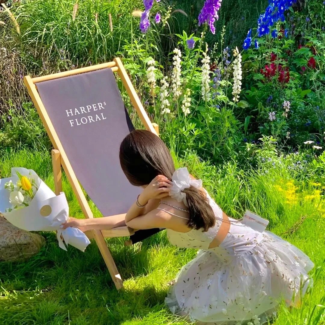 猫和老鼠：胡桃夹子的传奇